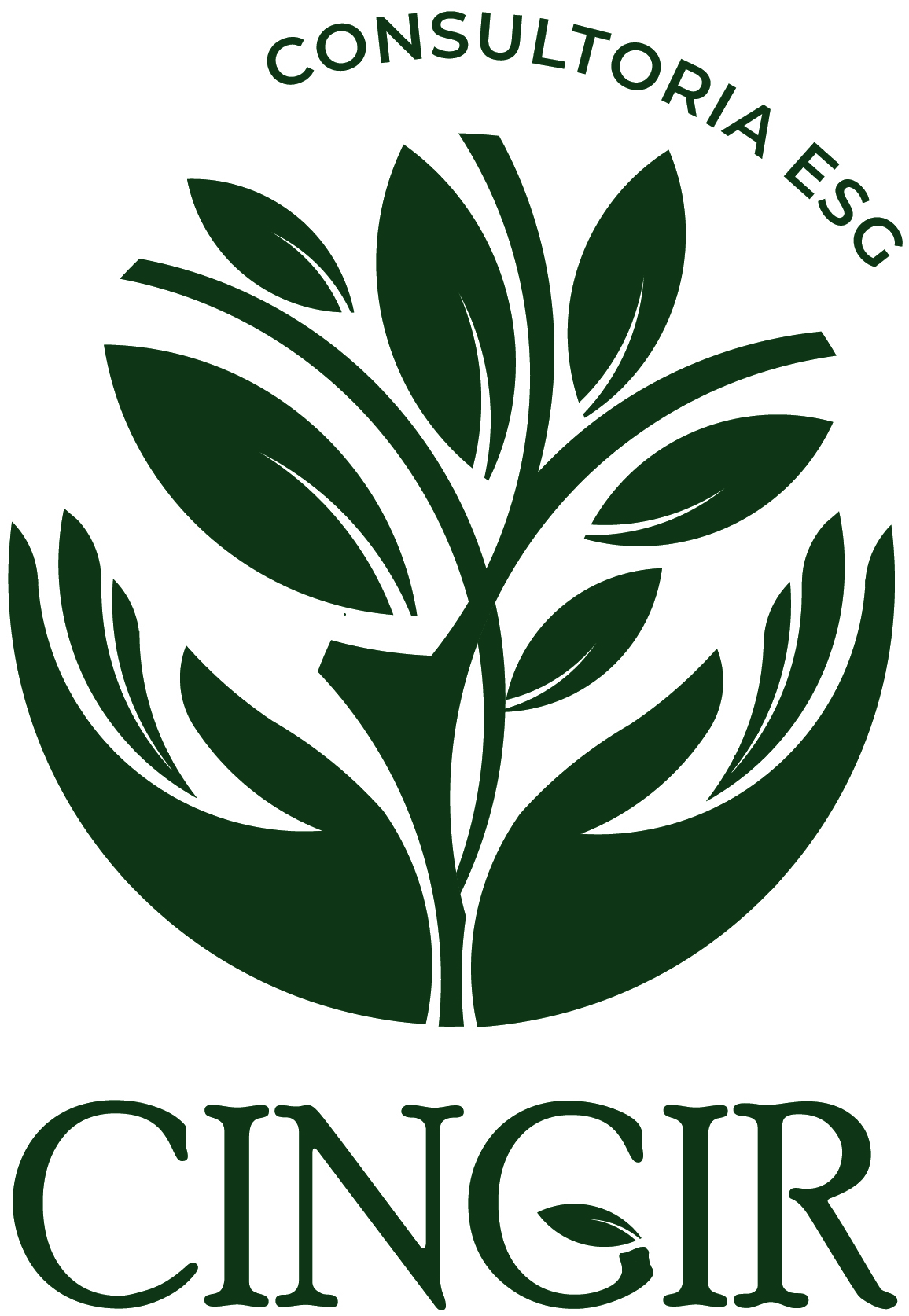 CINGIR CONSULTORIA ESG