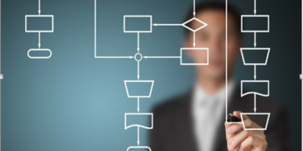 UNIFICAÇÃO DE NORMAS PARA DIVULGAÇÃO DE RELATÓRIOS DE SUSTENTABILIDADE