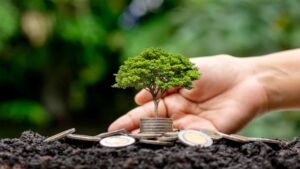 Leia mais sobre o artigo MARCO REGULATÓRIO ESG: Resolução CVM 193