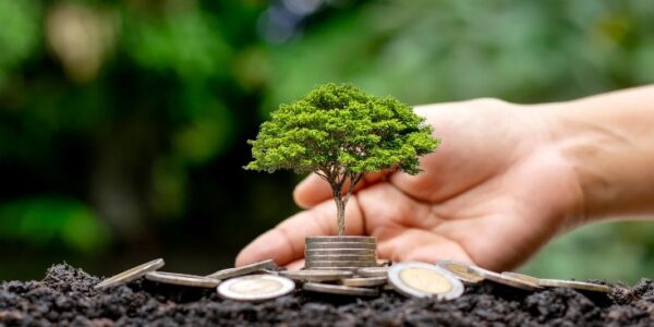 MARCO REGULATÓRIO ESG: Resolução CVM 193
