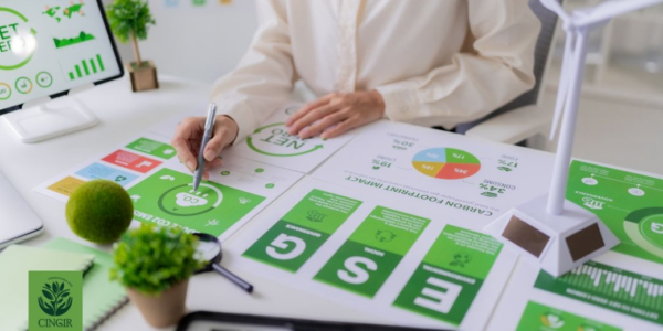 IFRS S1 e S2: por que o reporte de sustentabilidade entrou na agenda financeira das empresas brasileiras?