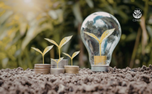 Leia mais sobre o artigo IFRS S1 e S2: transformando sustentabilidade em informação estratégica para investidores