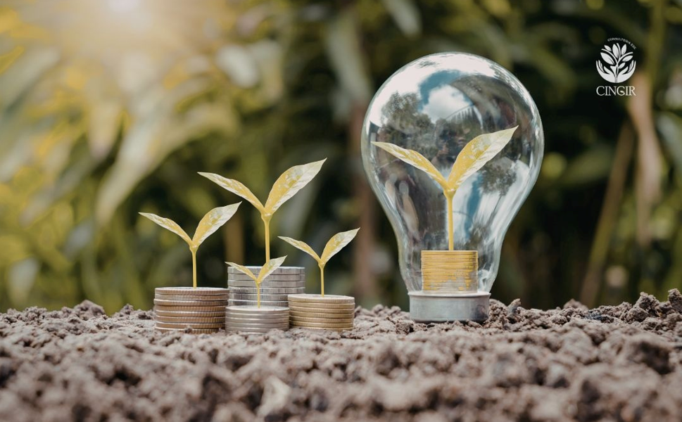 No momento, você está visualizando IFRS S1 e S2: transformando sustentabilidade em informação estratégica para investidores